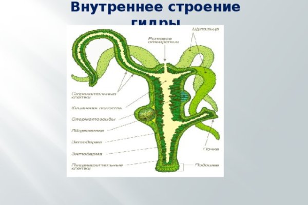 Kraken 13at вход