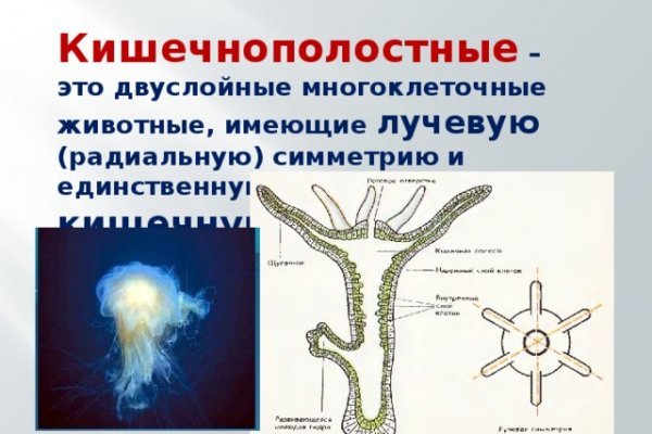 Что такое кракен наркотик