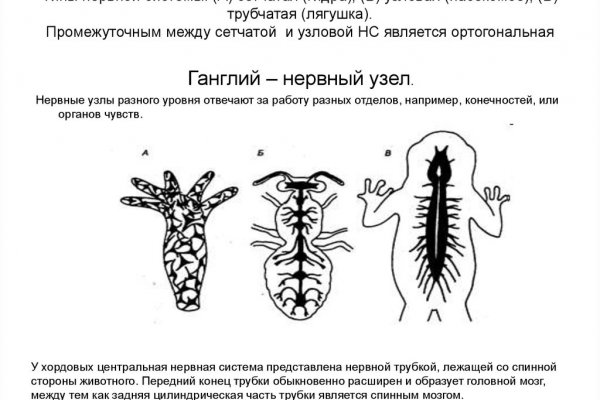 Не получается зайти на кракен